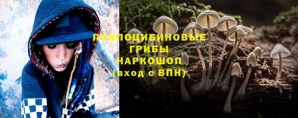твердый Белокуриха