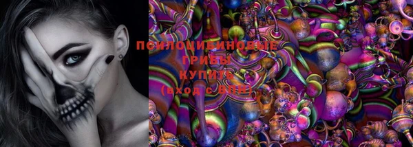 твердый Белокуриха