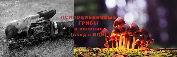 твердый Белокуриха
